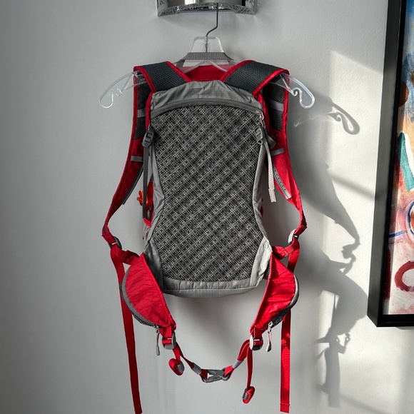 REI Stoke 19 backpack in red and gray - Picture 8 of 12